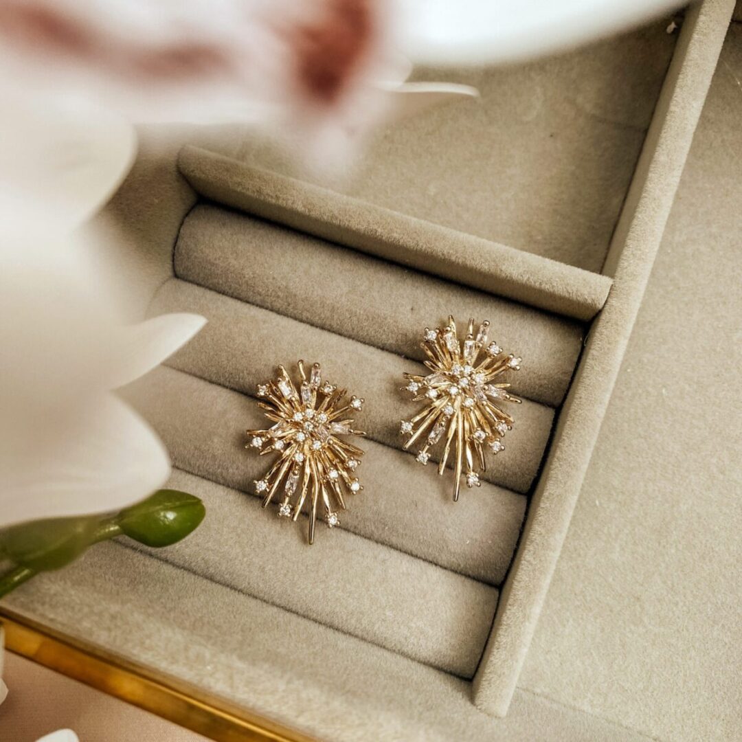 Stardust Earrings